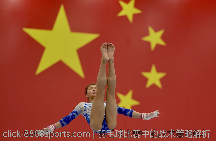 羽毛球比赛中的战术策略解析